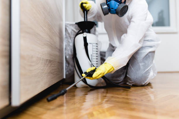 Pest Prevention Services in Auburn, NE