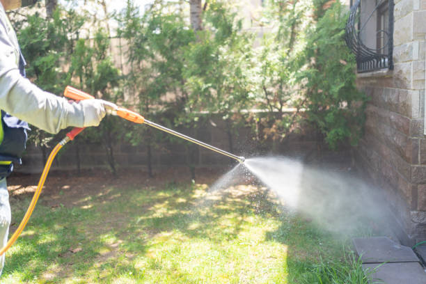 Best Mosquito Control Services  in Auburn, NE