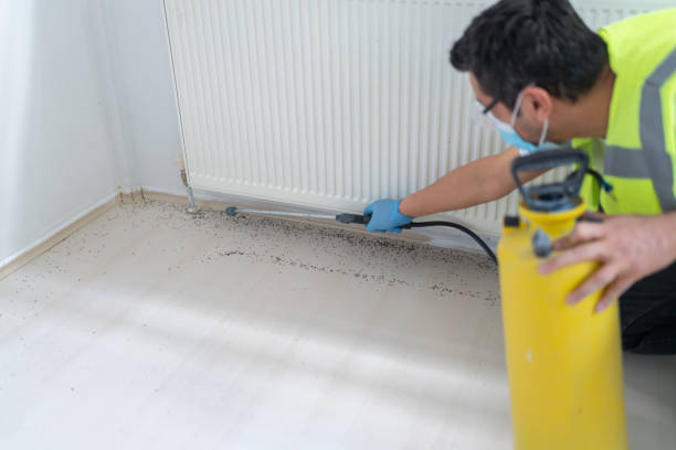 Best Affordable Pest Control Services  in Auburn, NE