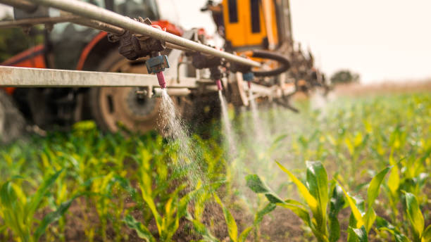 Best Pest Control Treatment  in Auburn, NE